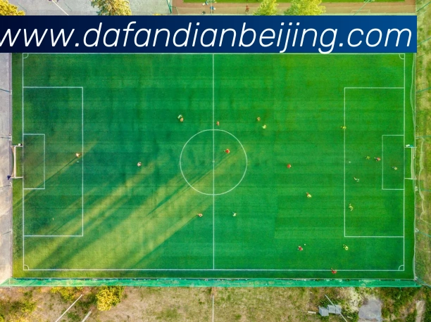 大发彩票服务体系